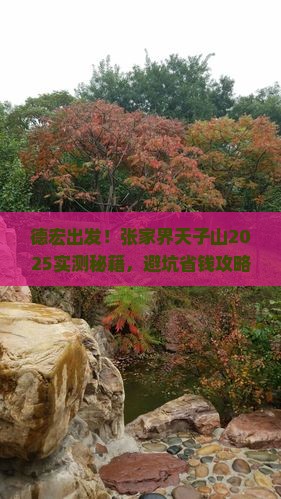 德宏去张家界天子山旅游