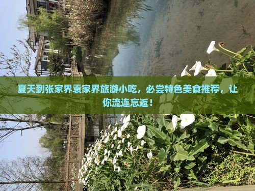 夏天到张家界袁家界旅游小吃