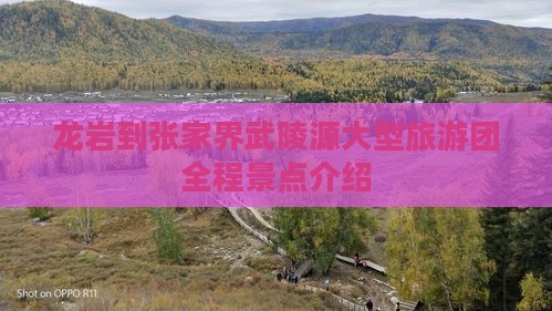 龙岩到张家界武陵源大型旅游团