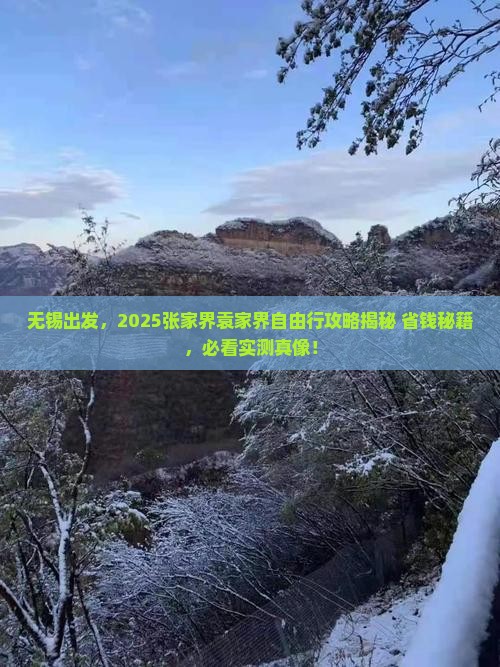 无锡去张家界袁家界自由团