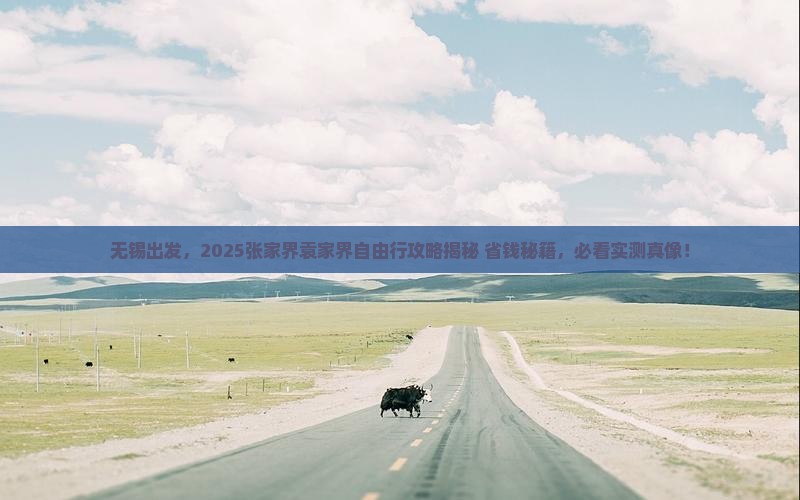 无锡去张家界袁家界自由团