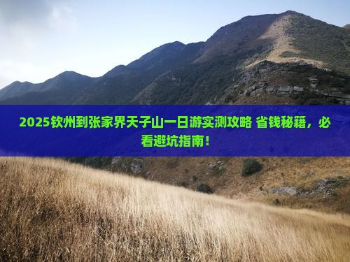 钦州到张家界天子山一日