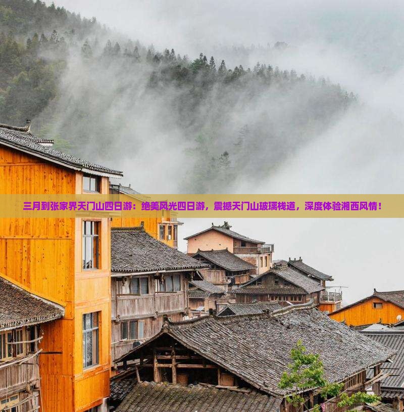 三月到张家界天门山四日游
