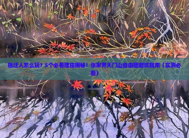 宿迁去张家界天门山自由团