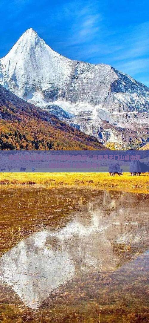 宿迁去张家界天门山自由团