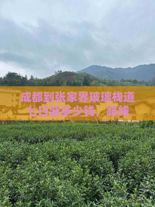 成都到张家界玻璃栈道七日游