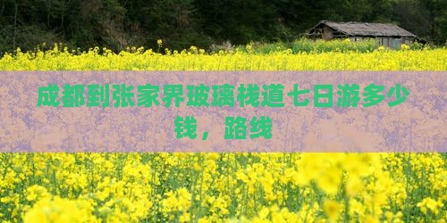 成都到张家界玻璃栈道七日游