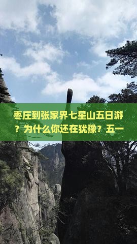 枣庄到张家界七星山五日游