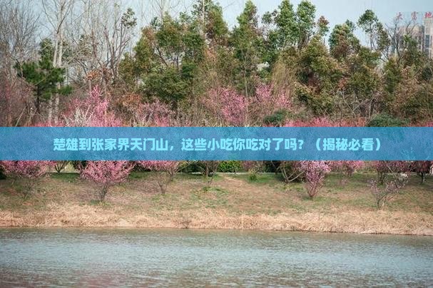 楚雄到张家界天门山旅游小吃