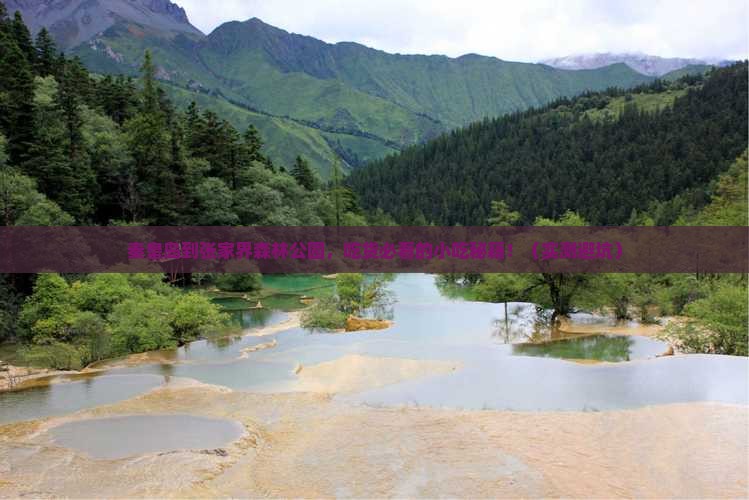 秦皇岛到张家界森林公园旅游小吃