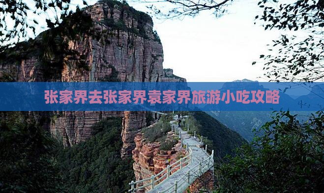 张家界去张家界袁家界旅游小吃