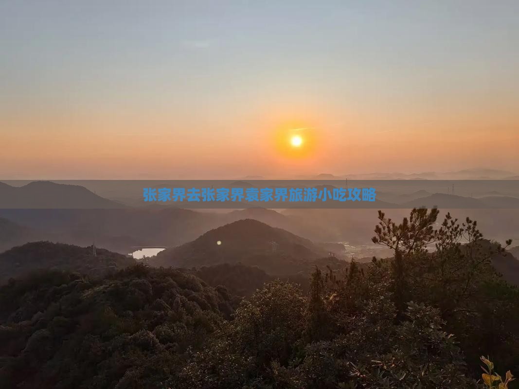 张家界去张家界袁家界旅游小吃