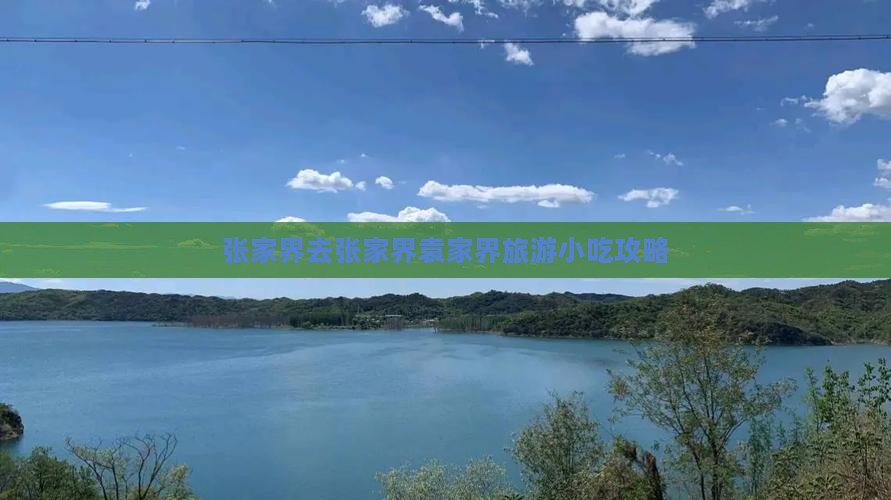 张家界去张家界袁家界旅游小吃