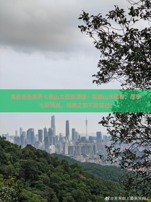 龙岩去张家界七星山大型旅游团