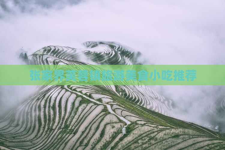 广州去张家界芙蓉镇旅游小吃