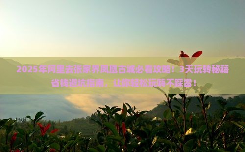 阿里去张家界凤凰古城攻略