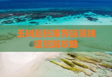玉树到张家界玻璃栈道景点