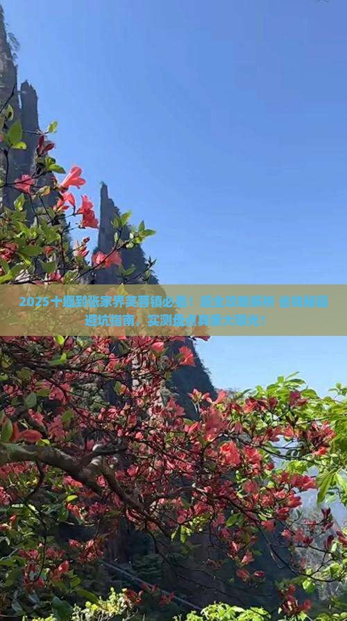 十堰到张家界芙蓉镇攻略