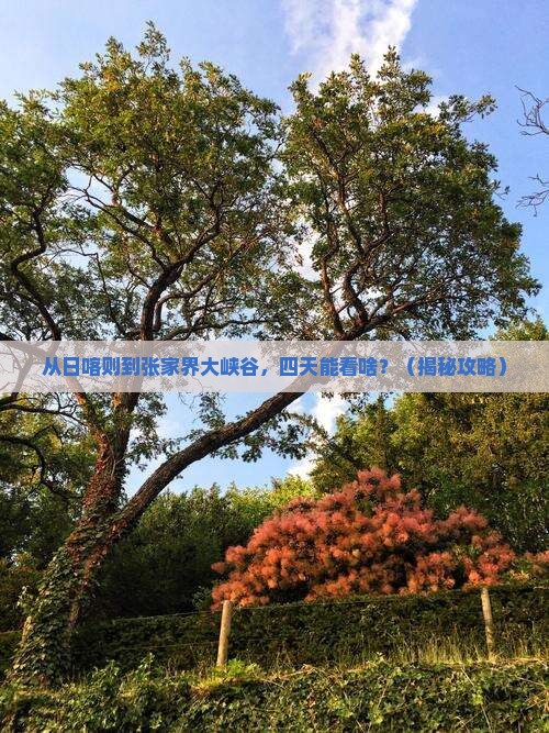 日喀则去张家界大峡谷四日游