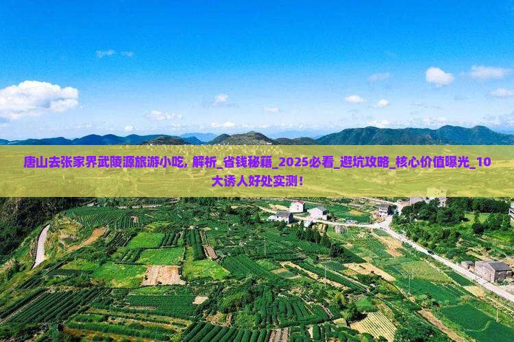 唐山去张家界武陵源旅游小吃