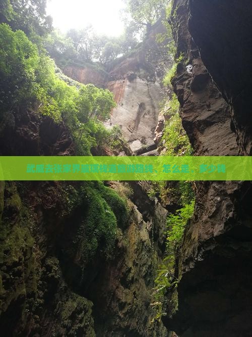 武威去张家界玻璃栈道旅游