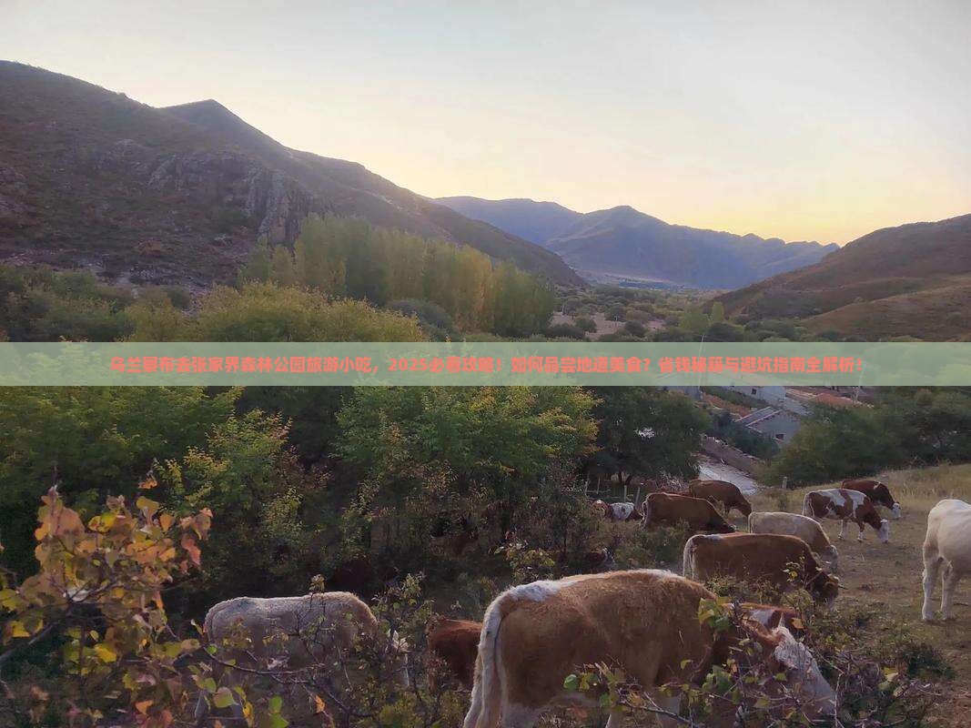 乌兰察布去张家界森林公园旅游小吃
