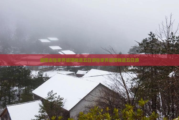 益阳去张家界玻璃栈道五日游