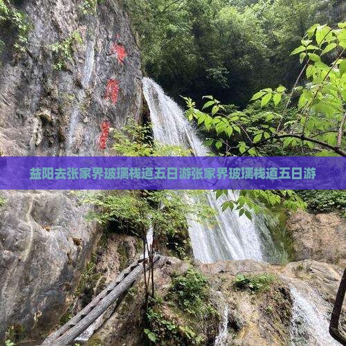 益阳去张家界玻璃栈道五日游