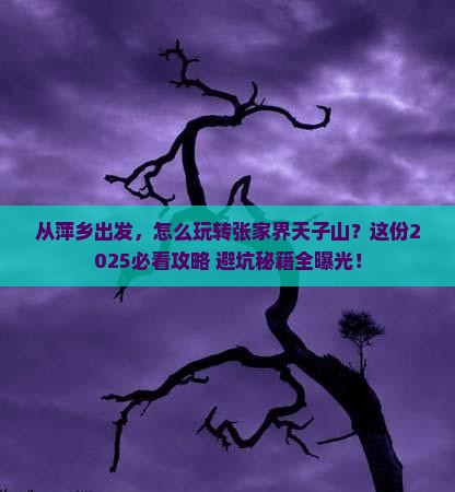 萍乡去张家界天子山景点