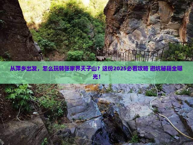 萍乡去张家界天子山景点