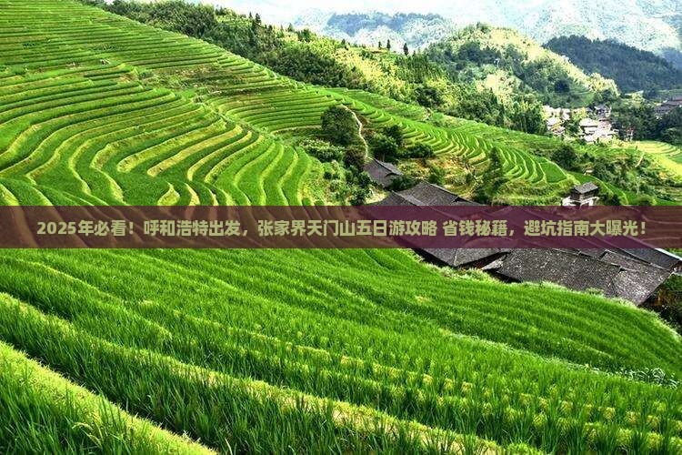 呼和浩特到张家界天门山五日游