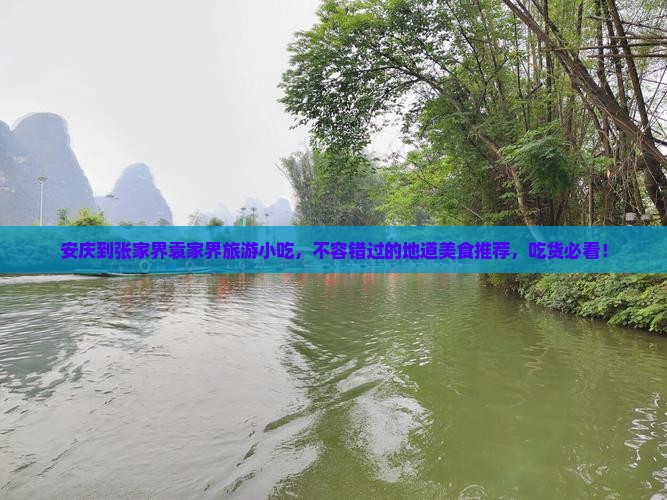 安庆到张家界袁家界旅游小吃