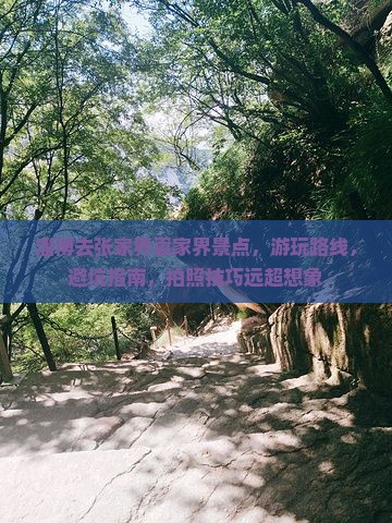 淄博去张家界袁家界景点