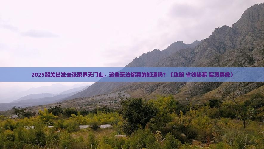 韶关去张家界天门山哪里玩