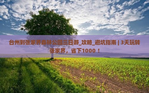 台州到张家界森林公园三日游