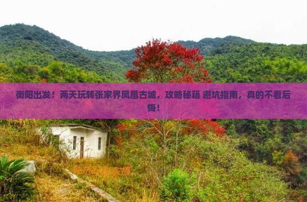 衡阳去张家界凤凰古城二日游