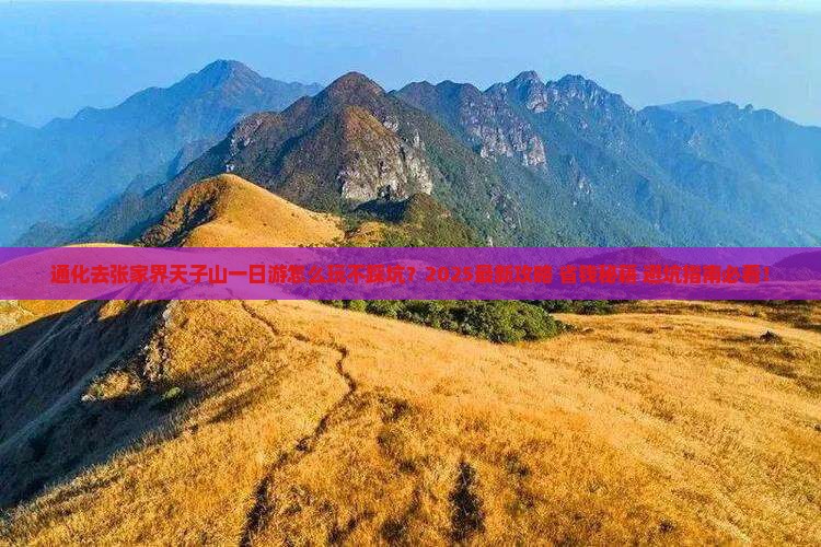 通化去张家界天子山一日 通化去张家界天子山一日