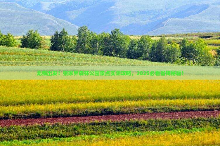 无锡到张家界森林公园景点