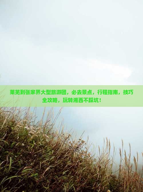 莱芜到张家界大型旅游团