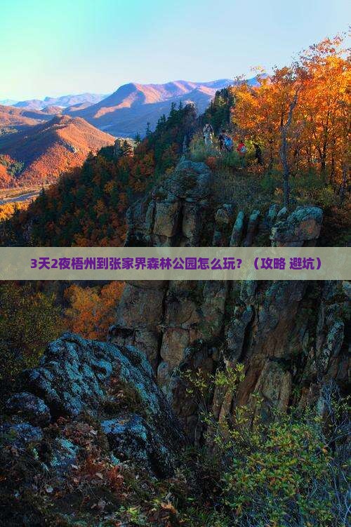 梧州到张家界森林公园个人游
