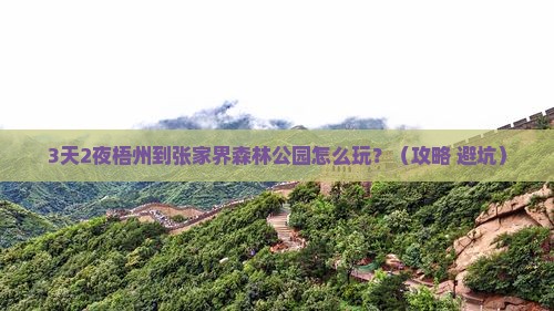 梧州到张家界森林公园个人游