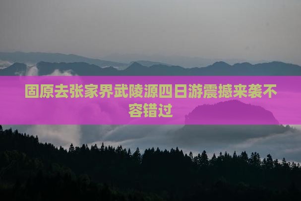 固原去张家界武陵源四日游