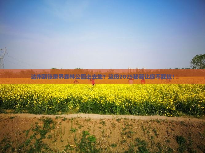 达州到张家界森林公园必去地