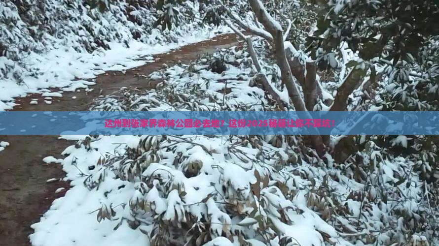 达州到张家界森林公园必去地
