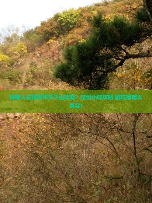 海南省直辖去张家界天子山旅游小吃