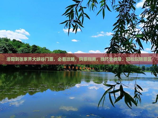 洛阳到张家界大峡谷门票