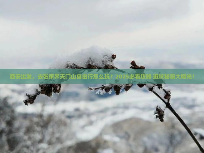 西安到张家界天门山自由行