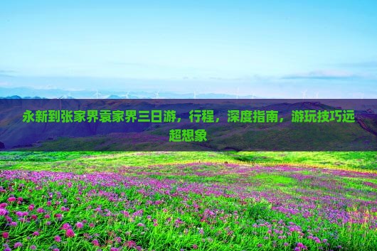 永新到张家界袁家界三日游