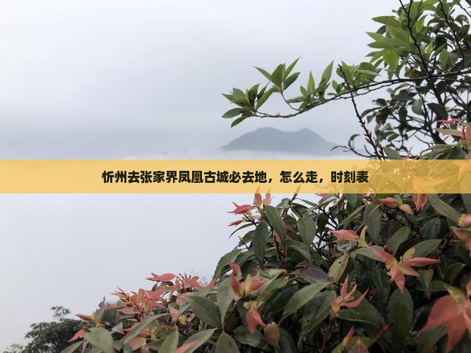 忻州去张家界凤凰古城必去地