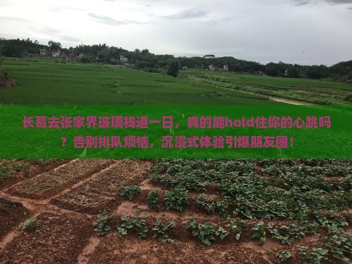 长葛去张家界玻璃栈道一日